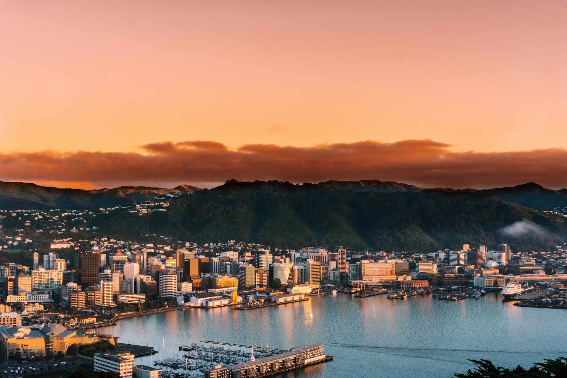 Wellington skyline